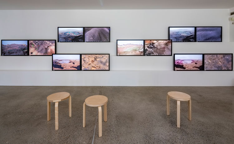 Alexandra Daisy Ginsberg. Better Nature, installation view, Vitra Design Museum Gallery, 2019. Photo: © Vitra Design Museum, Bettina Matthiesen.