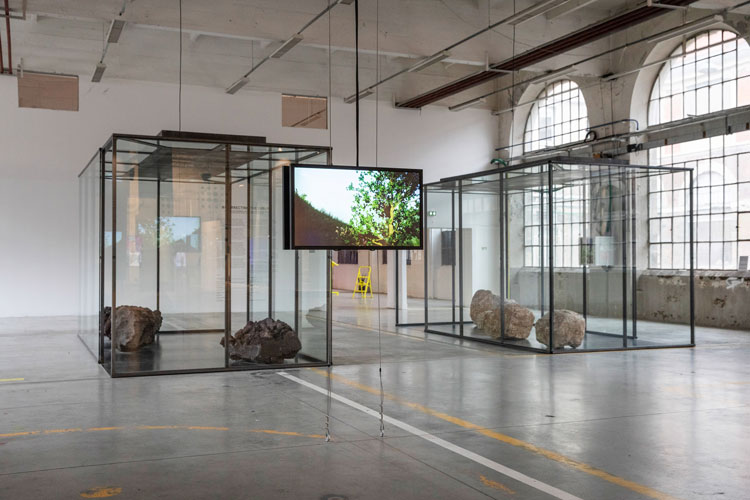 Alexandra Daisy Ginsberg. Resurrecting the Sublime, Saint-Étienne Design Biennale, 2019. A collaboration with Christina Agapakis of Ginkgo Bioworks and Sissel Tolaas. Photo: © Pierre Grasset.
