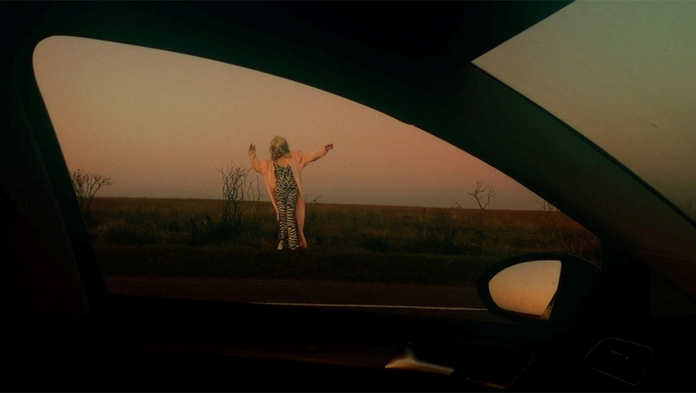 Still from Give us a meow, 2019, HD video by Ben Toms and Urara Tsuchiya, 9 mins 3 secs.