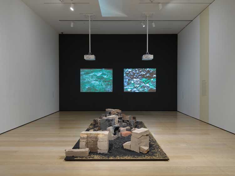 Several Eternities in a Day: Form in the Age of Living Materials, installation view. Hammer Museum, Los Angeles, 5 April – 23 August 2026. Photo: Jeff McLane.