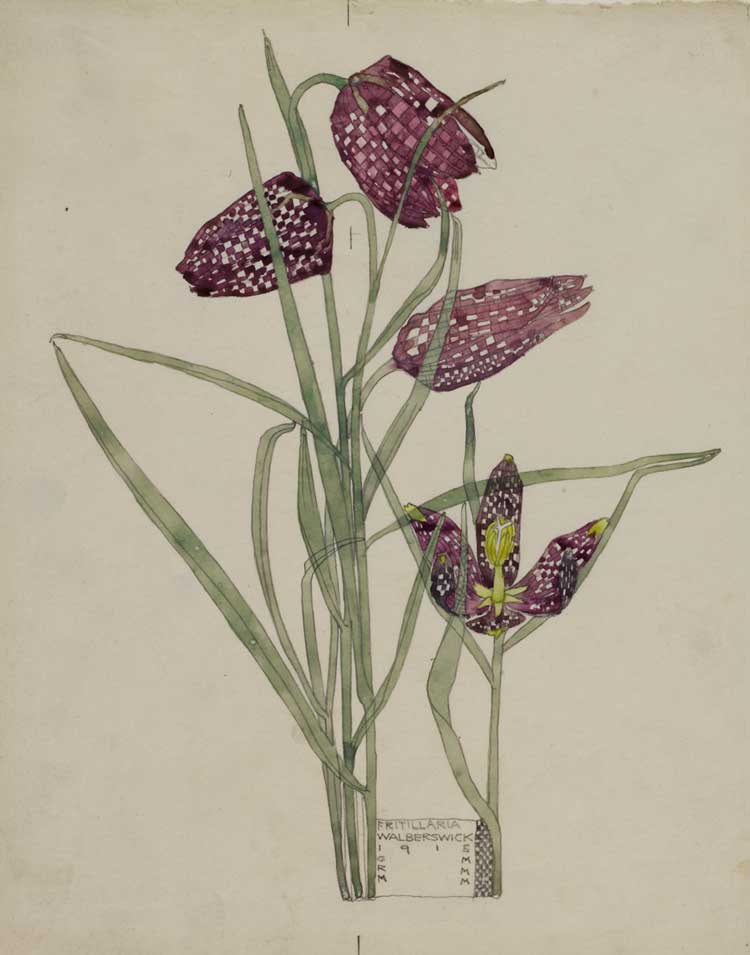 Charles Rennie Mackintosh, Fritillaria, 1915. Watercolour and pencil on paper, 25.3 x 20.2 cm. © The Hunterian, University of Glasgow.