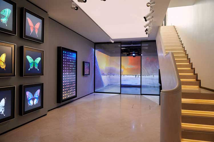 Dominic Harris, Feeding Consciousness, installation view, Halcyon Gallery, London, 25 May – 13 August 2023. Photo: © Callum Toy. Courtesy of Halcyon Gallery.