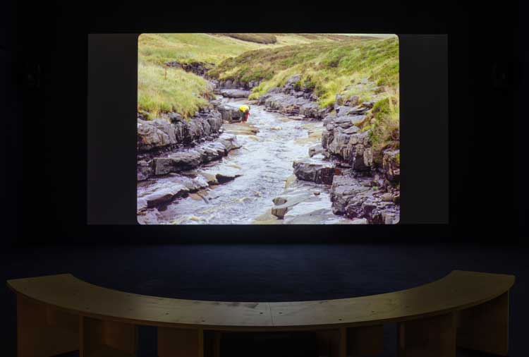 Laura Harrington. Fieldworking, 2020. Installation view, Baltic Centre for Contemporary Art, Gateshead. Photo: Rob Harris. © 2022 Baltic Centre for Contemporary Art.