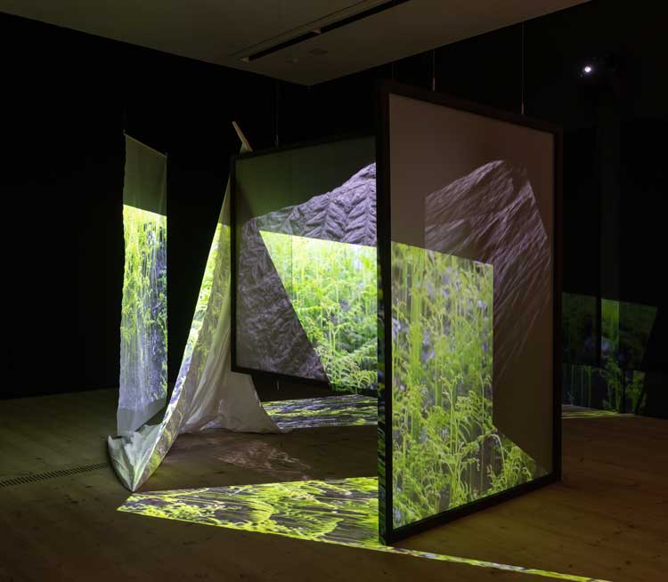 Dawn Felicia Knox with Anastasia Clarke. The Felling, 2022. Installation view, Hinterlands, Baltic Centre for Contemporary Art, Gateshead, 2022. Photo: Rob Harris. © 2022 Baltic Centre for Contemporary Art.