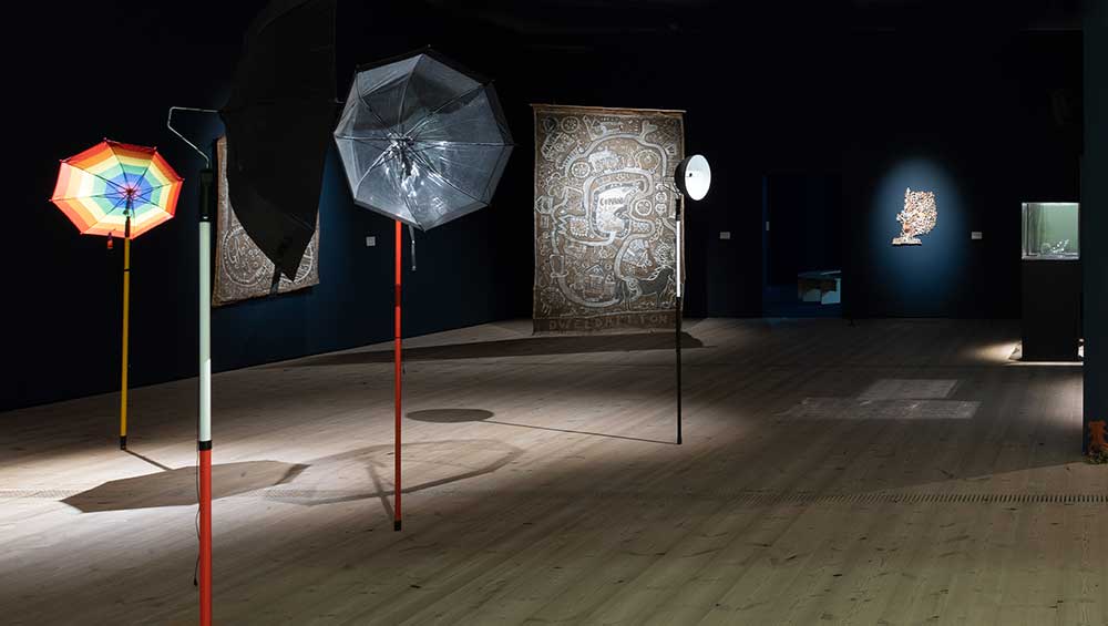Michele Allen, The Weight of Ants in the World, 2018-ongoing (detail). Installation view, Hinterlands, Baltic Centre for Contemporary Art, Gateshead, 2022. Photo: Veronica Simpson.