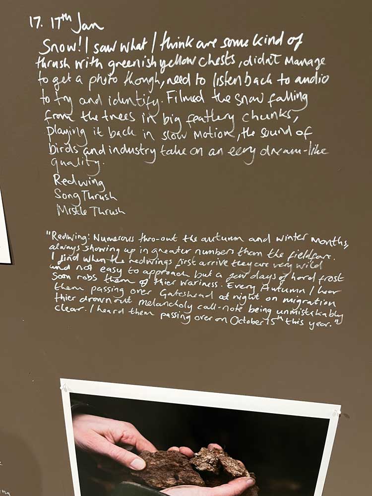 Michele Allen, The Weight of Ants in the World, 2018-ongoing (detail). Installation view, Hinterlands, Baltic Centre for Contemporary Art, Gateshead, 2022. Photo: Veronica Simpson.