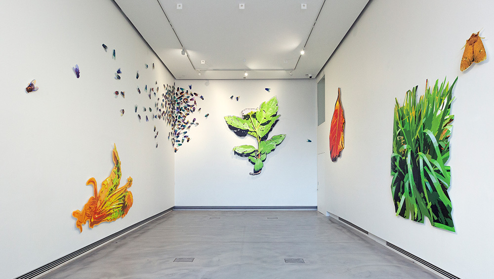 Alexandra Haeseker: The Botanist’s Daughter. Installation view, Edinburgh Printmakers, 2020. Photo: Alix MacIntosh.