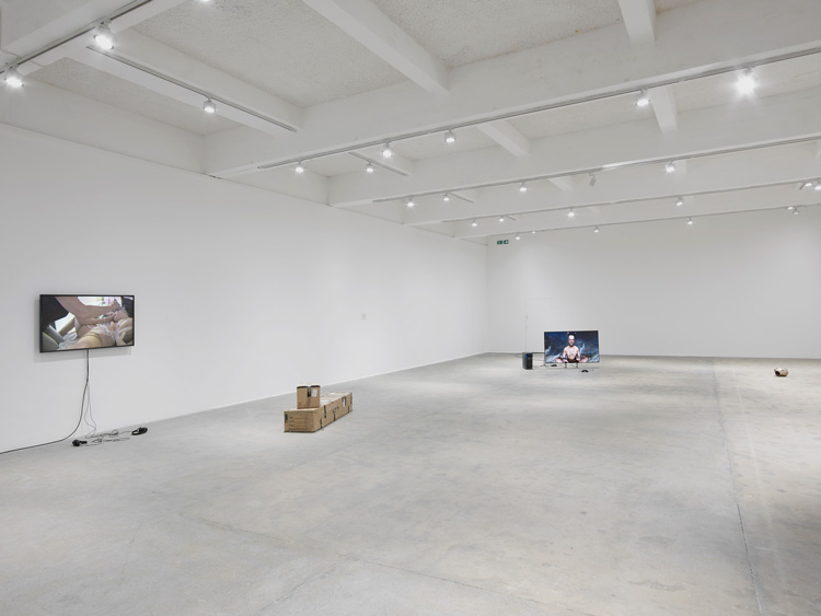 Sidsel Meineche Hansen, Welcome to End-Used City, 2019. Installation view, Chisenhale Gallery, 2019. Commissioned and produced by Chisenhale Gallery, London. Courtesy the artist. Photo: Andy Keate.