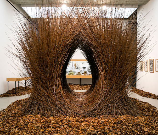 Andy Holden and Peter Holden. Natural Selection. Installation view, Towner Gallery, 2018. Photograph: Pete Jones.
