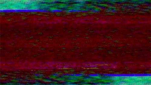 Susan Hiller. Resounding (infrared), 2013. Film still (2). 30-minute film. Courtesy of the artist and Timothy Taylor Gallery, London.
