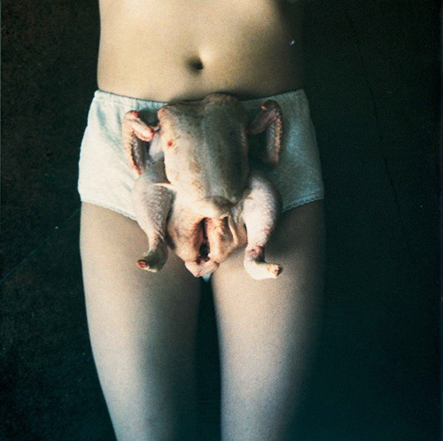 Sarah Lucas.
Chicken
Knickers 2000.
C-type
photograph
2732 x 1963 cm.
Murderme Ltd, London. Courtesy of Sadie
Coles HQ, London
© 2006 Sarah Lucas