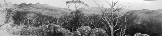 Philip Hunter. Cassidy’s Track – Southern Grampians (detail), 2015. Pencil. Copyright the artist.
Courtesy Sophie Gannon Gallery.
