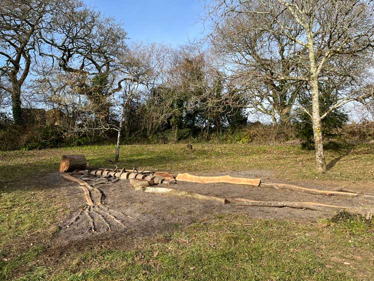 Ingela Ihrman, First Came the Landscape, 2022. Site-specific sculpture of a skeleton, installation view, the Eden Project. Photo: Veronica Simpson.