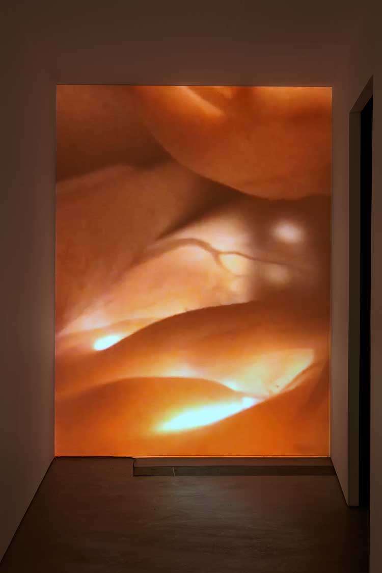 Ingela Ihrman, Green Paradise, 2009. Installation view, Nocturne, Gasworks, London, 2023. Photo: Andy Keate.