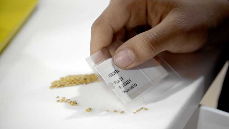 Dominique Koch, Sowing the Seeds for the Future, 2020, film still. Courtesy: Dominique Koch © Dominique Koch.