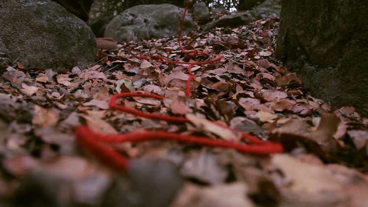 Cecilia Vicuña, Semiya (Seed Song), 2015, film still. Courtesy: Cecilia Vicuña, Electronic Arts Intermix (EAI), New York. © Cecilia Vicuña, Bildrecht Wien / Vienna 2026.