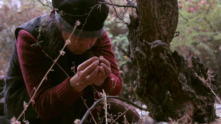 Cecilia Vicuña, Semiya (Seed Song), 2015, film still. Courtesy: Cecilia Vicuña, Electronic Arts Intermix (EAI), New York. © Cecilia Vicuña, Bildrecht Wien / Vienna 2026.