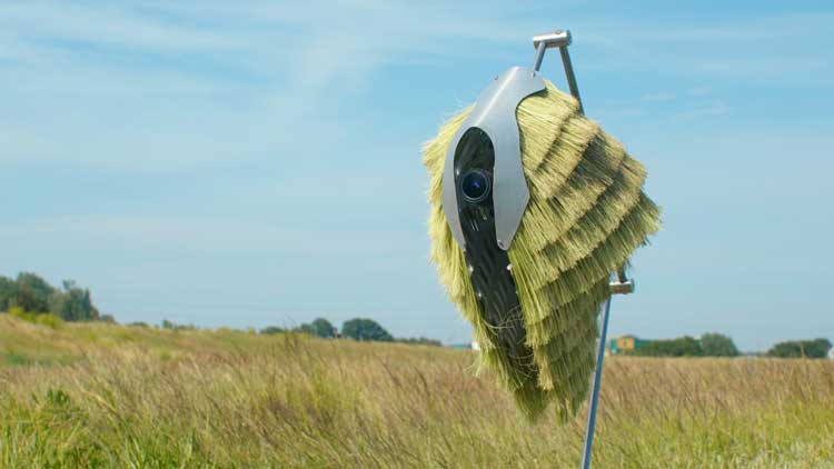 Superflux, Nobody Told Me Rivers Dream, 2025. © Superflux.