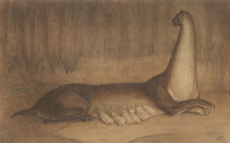 Alfred Kubin. The Brood, 1903-06. Ink on paper, 22.8 x 36.2 cm. The Albertina Museum, Vienna © Eberhard Spangenberg, München / Bildrecht, Vienna 2024.