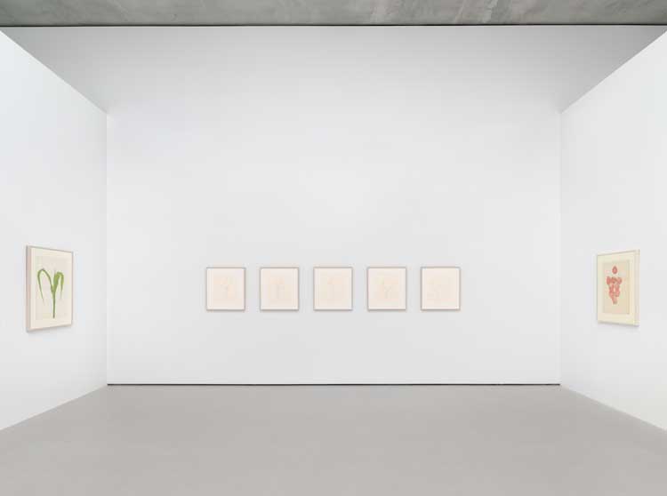 Ellsworth Kelly. From left: Corn, 1959. Watercolour on paper, 28 ½ x 22 ½ in (72 x 57 cm); Cyclamen, 2000. Set of five drawings pencil on paper, 16 ⅛ x 14 in (41 x 36 cm) each; Apples, 1949. Watercolour and graphite on paper, 24 ¾ x 19 ⅜ in (63 x 49 cm). All artworks © Ellsworth Kelly Foundation. Photo: Ron Amstutz. Courtesy: Glenstone Museum, Potomac, Maryland.
