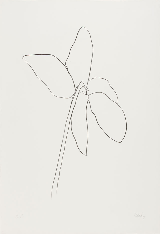 Ellsworth Kelly. Cyclamen IV, 1964–65. Transfer lithograph on Rives BFK paper, 35 1/4 x 24 1/8 in (89.5 x 61.3 cm). Norton Simon Museum, Gift of the Artist, 1969, P.1969.041. © Ellsworth Kelly Foundation and Maeght Éditeur.
