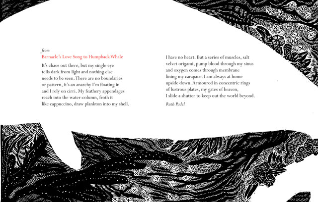 Mary Kuper. Barnacle’s Love song to Humpbacked Whale, Ruth Padel, 2012. Engraving and digital, 44 x 29 cm. @ the artist, in collaboration with The National Poetry Library, London.