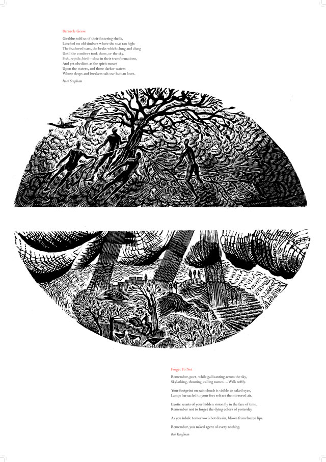 Mary Kuper. Poetry is a Dame: barnacle, 2012. Engraving and digital, 56 x 78 cm. @ the artist, in collaboration with The National Poetry Library, London.
