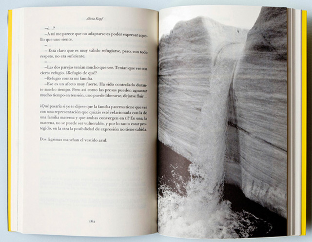 An illustration from Brother in Ice, Spanish edition, 2017.