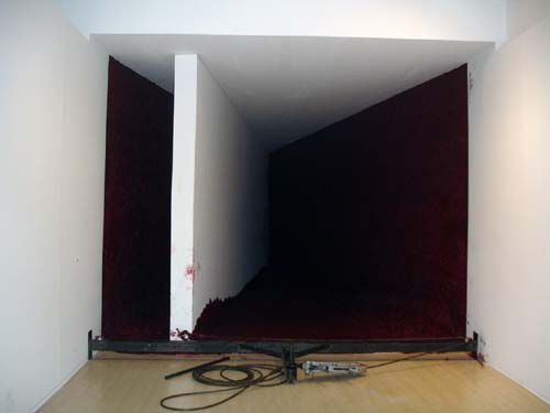 Anish Kapoor. To Divide, 2006, 5 tons of special red wax and a thick 11-metre-long wooden wall. Installation view.