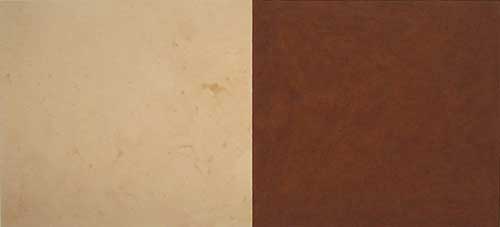 Karel Nel, Potent Fields, 2002. Red and white ochre from the Transkei,
South Africa. 122 x 242 cm