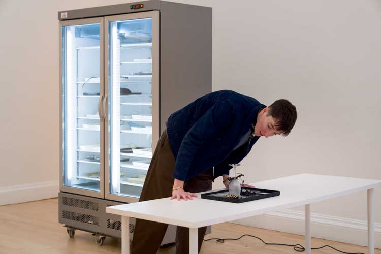 Laura Lima, Imagens Congeladas [Frozen Images], 1993/2026. Freezer, plastic trays, ice, various materials. Installation view, Laura Lima: The Drawing Drawing, Institute of Contemporary Arts, London. Photo: Anne Tetzlaff.
