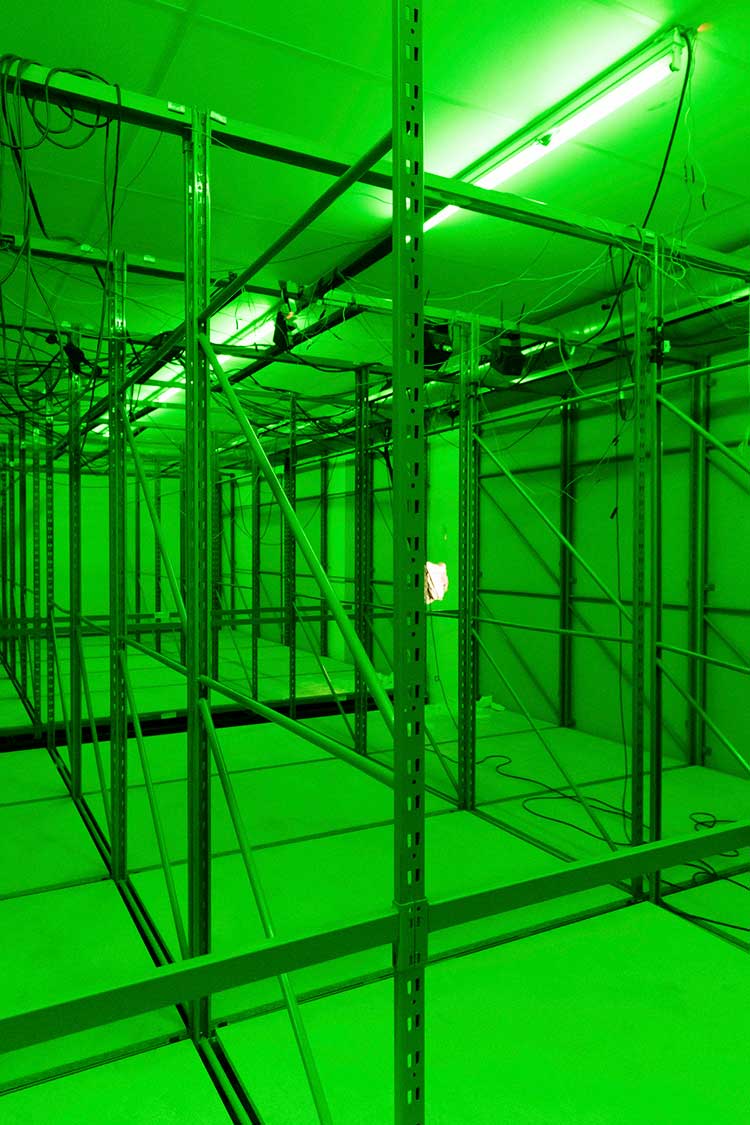 Manifesto of Fragility, Biennale de Lyon 2022. Evita Vasiljeva, Impulse (J or Imp), 2020-2022. Interactive site-specific installation, multi-channel sound, green lights, multiple motion sensors, electromagnetic microphones, contact microphones. 16th Biennial of contemporary art of Lyon, Guimet Museum. Courtesy of the artist. With the support of Mondriaan Fonds, Embassy of the Kingdom of the Netherlands in France. © Blandine Soulage.