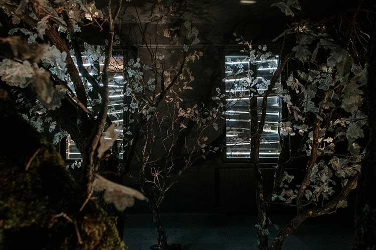 Manifesto of Fragility, Biennale de Lyon 2022. Nadia Kaabi-Linke, Le chuchotement du chêne, 2022. Site installation with oak branches and leaves and sound, transducers, cables and amplifier. Commissioned for the 16th edition of the Biennale de Lyon, Usines Fagor. Courtesy of the artist. With the support of the Goethe-Institut Lyon, the Office National des Forêts © Blandine Soulage.