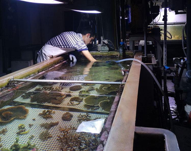 Aquaria – Or the Illusion of a Boxed Sea. Back stage, Armin Linke, Oceanarium, 2021. MAAT – Museum of Art, Architecture and Technology (Lisbon), 2021. © Courtesy of EDP Foundation. Photography by Bruno Lopes.