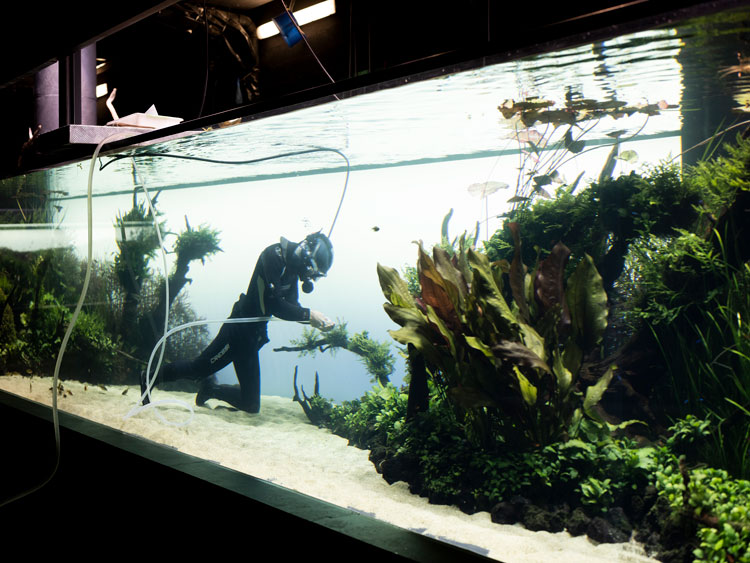 Aquaria – Or the Illusion of a Boxed Sea. Installation view, Armin Linke, Oceanarium, 2021. MAAT – Museum of Art, Architecture and Technology (Lisbon), 2021. © Courtesy of EDP Foundation. Photography by Bruno Lopes.