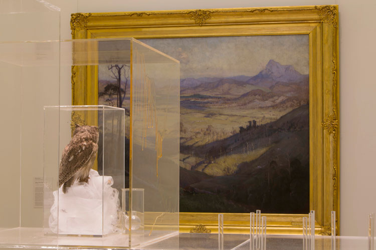 Janet Laurence, Memory of Nature, 2010. Installation view, AGNSW. Photo: Brett Boardman.