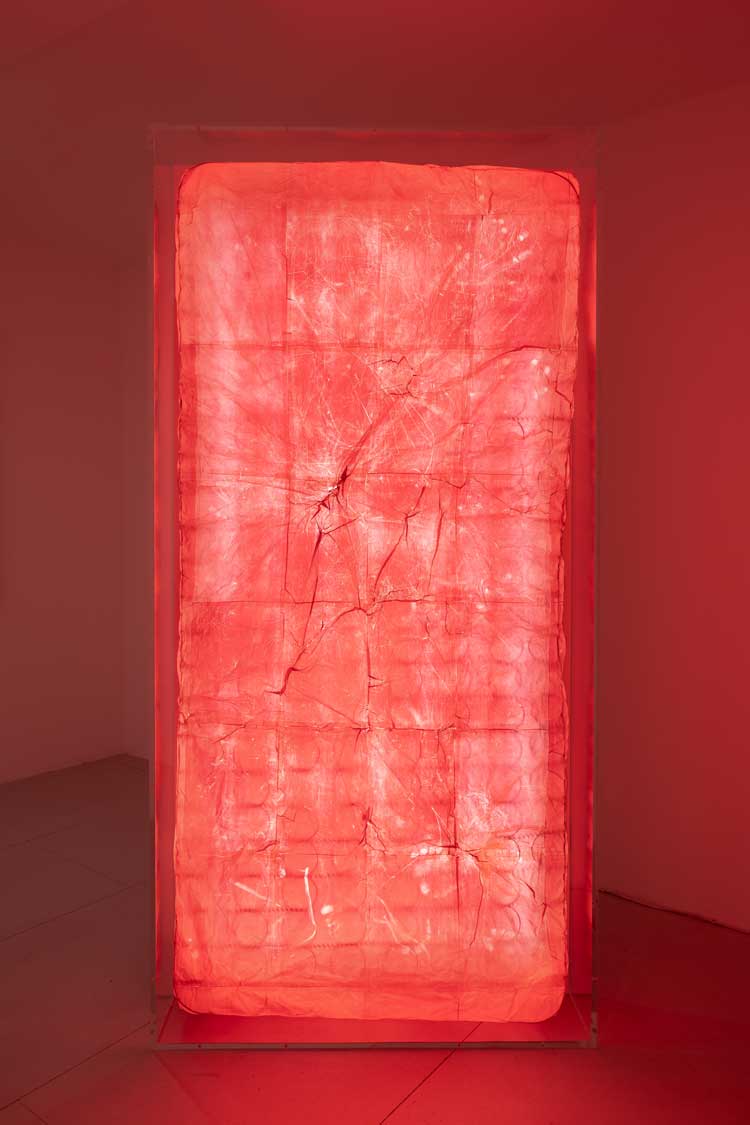 William Mackrell, Sleep RED, 2025. Carbon paper, mattress, acrylic case, LED lights, 196.5 x 94.5 x 20 cm. Exhibition view, William Mackrell, Exposed Tender, Lungley Gallery, 2025. Photo: courtesy Agnese Sanvito.