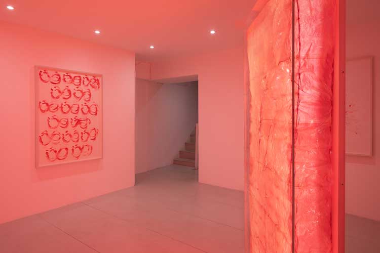 Exhibition view, William Mackrell, Exposed Tender, Lungley Gallery, 2025. Photo: courtesy Agnese Sanvito.