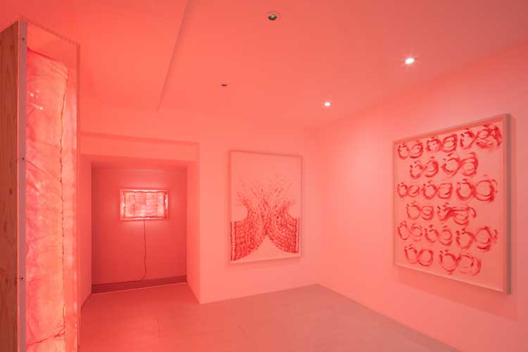 Exhibition view, William Mackrell, Exposed Tender, Lungley Gallery, 2025. Photo: courtesy Agnese Sanvito.