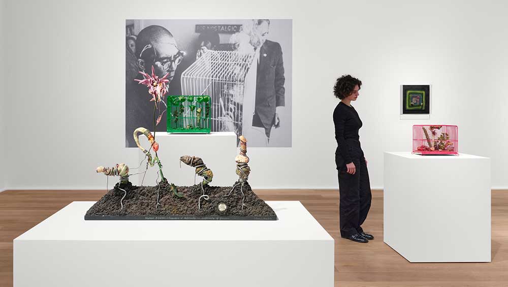 Tetsumi Kudo. Microcosms, installation view, Hauser & Wirth London, 2026. © Hiroko Kudo, the Estate of Tetsumi Kudo / Artists Rights Society (ARS), NY / ADAGP Paris 2026. Courtesy Hiroko Kudo, the Estate of Tetsumi Kudo and Hauser & Wirth. Photo: Eva Hurzog.