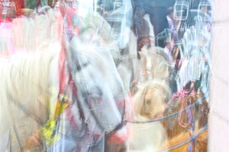 Leanne McDonagh. Horse & Harness, 2014. Photograph, 23.4 x 33.1 in. © the artist.