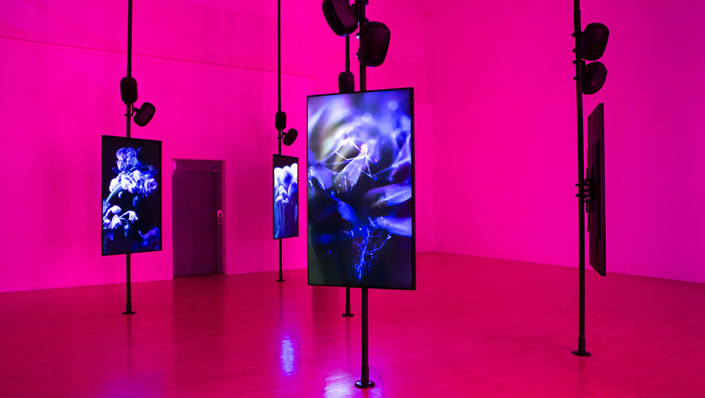 Angelica Mesiti, Over the Air and Underground, 2020. Installation view, Angelica Mesiti: In the Round, Talbot Rice Gallery, University of Edinburgh, 2021. Photo: Sally Jubb.