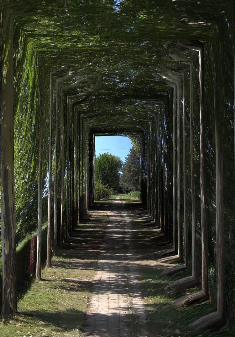 András Zalavári, Plane-tree Allée, 2019. Photomontage 80 x 110 cm. Photo courtesy of the Hungarian Cultural Centre, London.