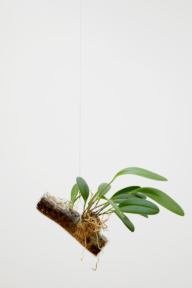 Daniel Steegmann Mangrané, The Word for World is Forest, 2019, (detail), installation view at Nottingham Contemporary. Photo Stuart Whipps.