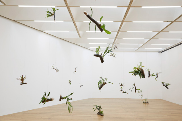 Daniel Steegmann Mangrané, The Word for World is Forest, 2019, installation view at Nottingham Contemporary. Photo Stuart Whipps.