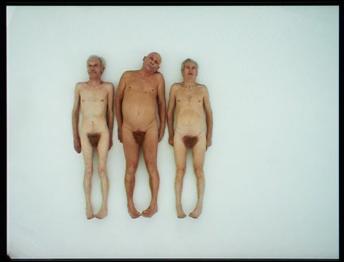 Katarzyna Kozyra. Rite of Spring, 1999. Video installation, colour, sound, dimensions variable. Mumok - Museum of Modern Art Foundation Ludwig Vienna. Photograph: mumok. © Katarzyna Kozyra