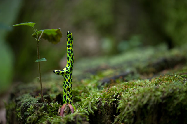 Vera Möller. Greeninger from the Fictional Hybrids Cycle, 2009. Photograph.