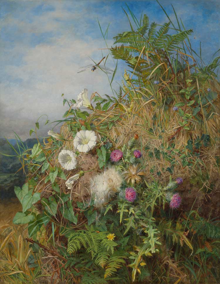 Martha Darley Mutrie, Wild Flowers at the Corner of a Cornfield, 1855-60. Photo: Tate (Seraphina Neville).