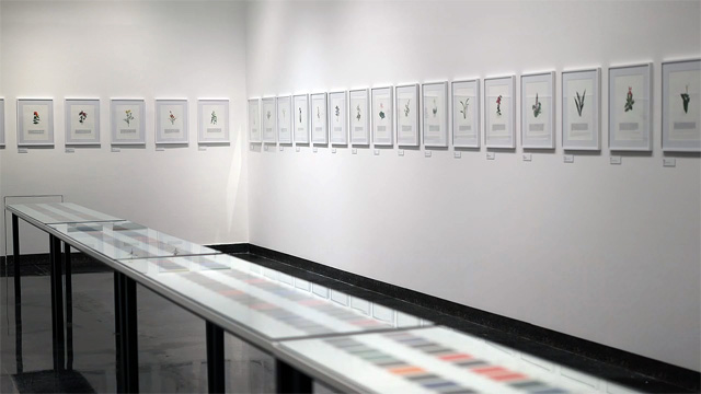 Maryam Najd, installation view, Botanic: National Amalgamation Project, Arthur M Sackler Museum of Art and Archaeology at Peking University, 2019. Photo: Miguel Benavides.