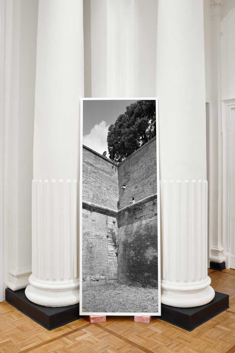 Catherine Opie: Walls, Windows and Blood. Installation view, Thomas Dane Gallery, Naples, 19 September – 18 November 2023. © Catherine Opie. Courtesy the artist, Thomas Dane Gallery and Regen Projects, Los Angeles. Photo: M3Studio.
